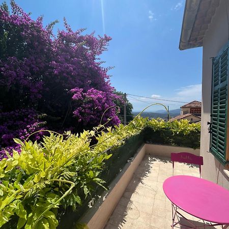 Villa 2 Chambres Renovee Juillet 2023 - Vue Mer - Parking Prive Grasse Eksteriør bilde